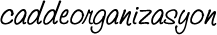 Cadde Organizasyon Lead